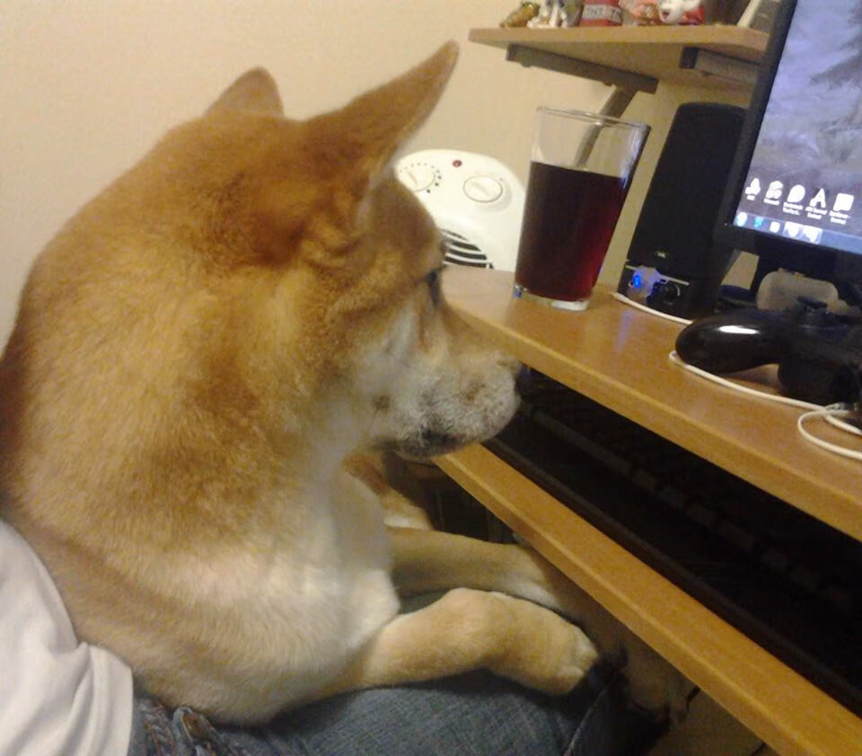 皮克全场闪耀创奇迹,希腊队稳扎稳打完胜波兰,一场战术与天赋的胜利