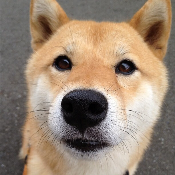 排名地震!深圳绝杀快船,改写世界篮球版图的40秒